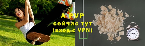 ПСИЛОЦИБИНОВЫЕ ГРИБЫ Нея