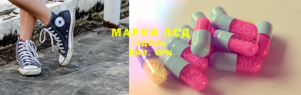 стаф Нефтекумск