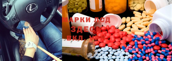 стаф Нефтекумск