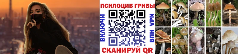 продажа наркотиков  Сковородино  Псилоцибиновые грибы Cubensis 
